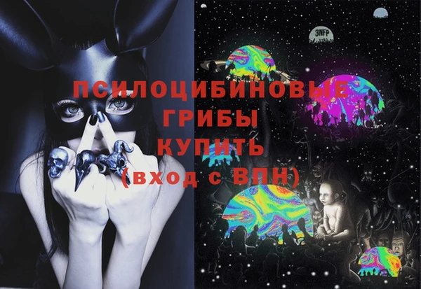 хмурый Алексин