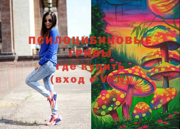 хмурый Алексин
