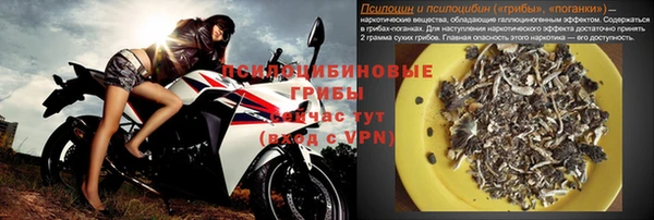 хмурый Алексин