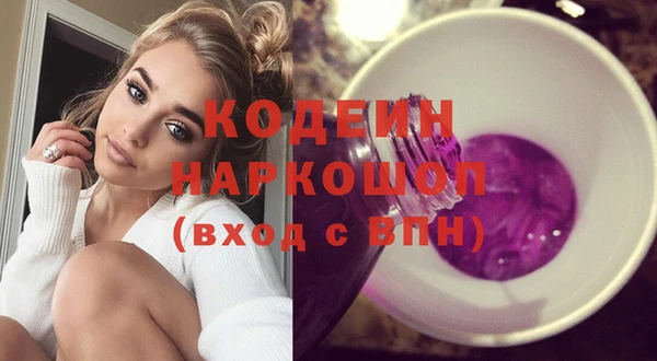 хмурый Алексин