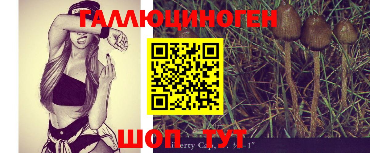 Галлюциногенные грибы мухоморы Волхов