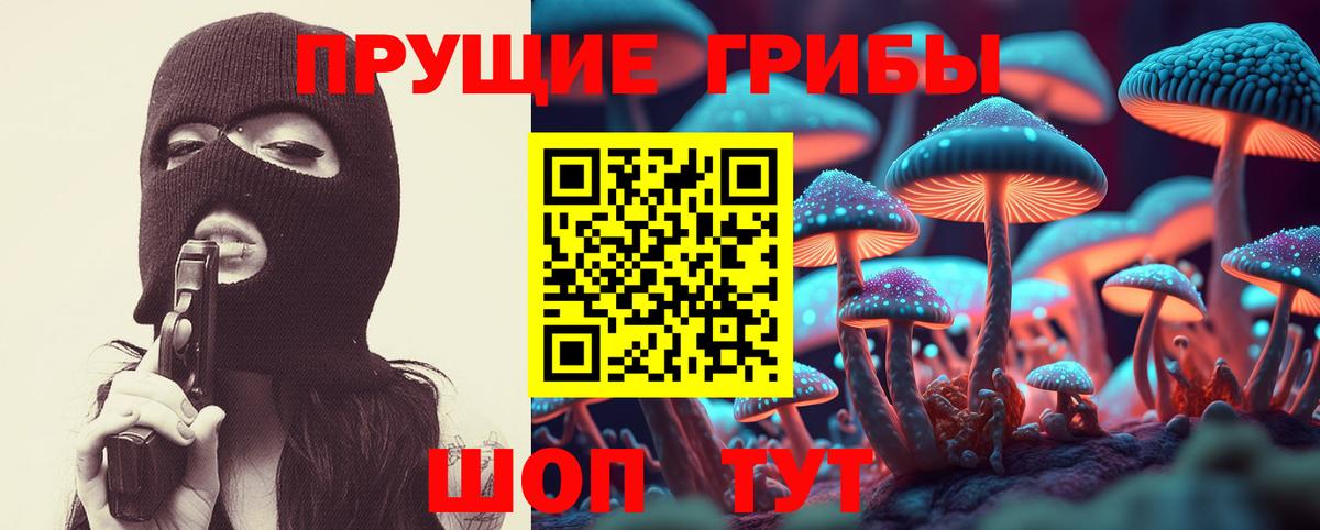 Галлюциногенные грибы Psilocybine cubensis  Галлюциногенные грибы MAGIC MUSHROOMS  Вход с VPN  Волхов 